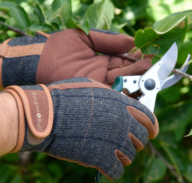 Garden Gloves